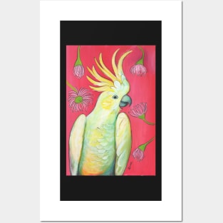 Cockatoo and gum blossoms Posters and Art